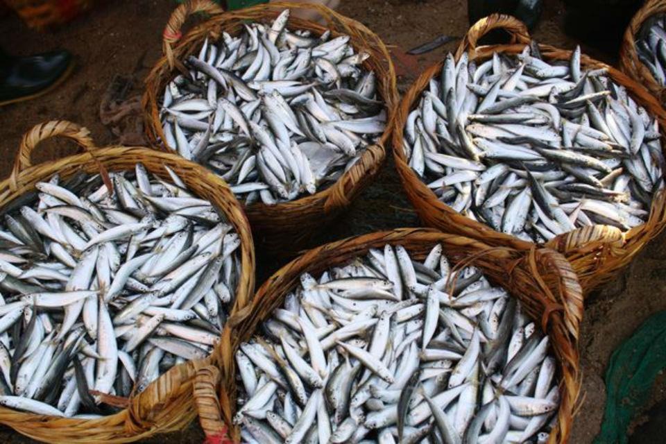 NƯỚC MẮM TRUYỀN THỐNG PHAN THIẾT 1 nuoc mam truyen thong phan thiet